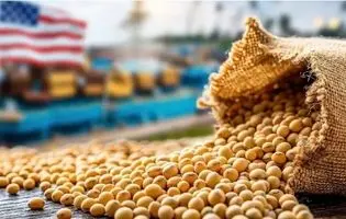 امنیت غذایی با شعار تامین نمی‌شود/ سفره‌های شهروندان وابسته به واردات ذرت و نهاده‌ها