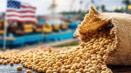 امنیت غذایی با شعار تامین نمی‌شود/ سفره‌های شهروندان وابسته به واردات ذرت و نهاده‌ها