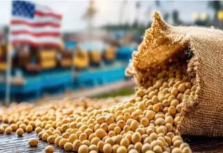 امنیت غذایی با شعار تامین نمی‌شود/ سفره‌های شهروندان وابسته به واردات ذرت و نهاده‌ها
