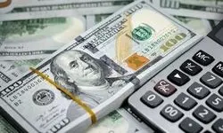 اعلام قیمت ارزها در بازار؛ دلار به قیمت ۱۱۴ هزار و ۵ تومان فروخته شد
