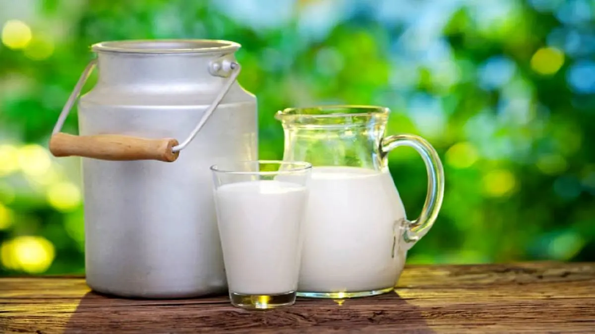 هر رده سنی روزانه چقدر باید شیر مصرف کند؟