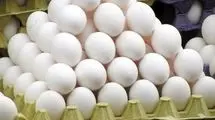صادرات ۱۰۰ تن تخم مرغ به عمان بعد از دو سال