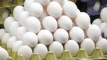 صادرات ۱۰۰ تن تخم مرغ به عمان بعد از دو سال