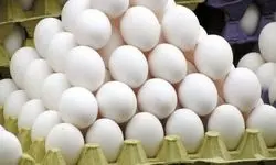 صادرات ۱۰۰ تن تخم مرغ به عمان بعد از دو سال