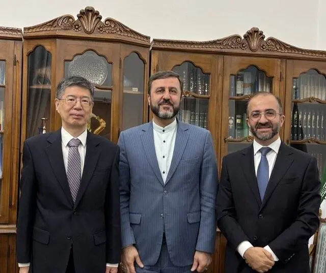 هم‌صدایی تهران، مسکو و پکن علیه اسنپ‌بک اروپایی