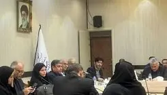 ربیعی: همبستگی و مشارکت اجتماعی، کلید حل آسیب‌های کشور است