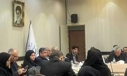 ربیعی: همبستگی و مشارکت اجتماعی، کلید حل آسیب‌های کشور است