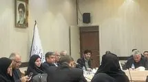 ربیعی: همبستگی و مشارکت اجتماعی، کلید حل آسیب‌های کشور است