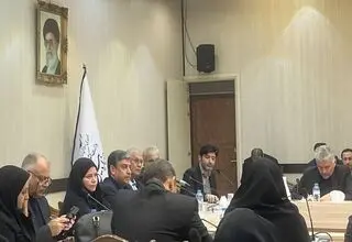 ربیعی: همبستگی و مشارکت اجتماعی، کلید حل آسیب‌های کشور است