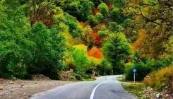 مسیرهای منتهی به جنگل‌های کلاردشت مسدود شد