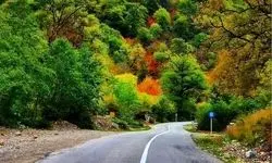 مسیرهای منتهی به جنگل‌های کلاردشت مسدود شد