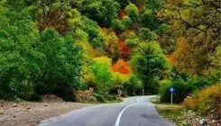 ممنوعیت ورود خودروهای آفرود به جنگل‌‌های هیرکانی