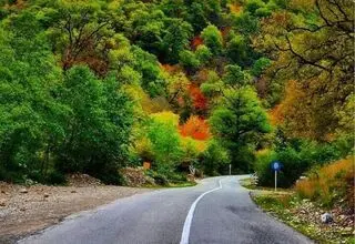ممنوعیت ورود خودروهای آفرود به جنگل‌‌های هیرکانی