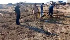 کشف ۷۰ هزار لیتر گازوئیل قاچاق در بندر چابهار