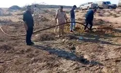 کشف ۷۰ هزار لیتر گازوئیل قاچاق در بندر چابهار