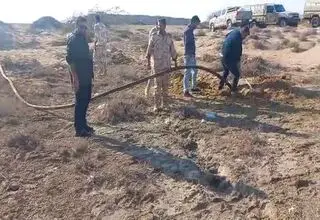 کشف ۷۰ هزار لیتر گازوئیل قاچاق در بندر چابهار
