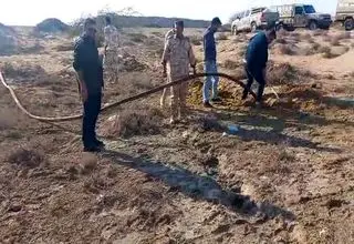 کشف ۷۰ هزار لیتر گازوئیل قاچاق در بندر چابهار