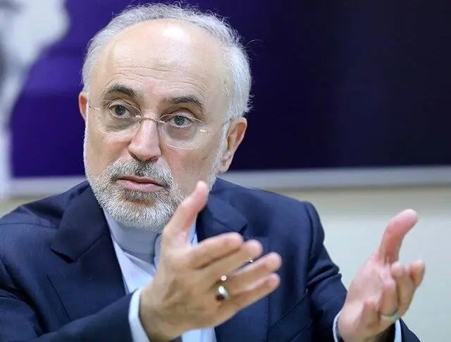 صالحی: «ایران» اکنون اولویتدارترین امر حکمرانی در جمهوری اسلامی است
