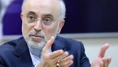 صالحی: «ایران» اکنون اولویت‌دارترین امر حکمرانی در جمهوری اسلامی است