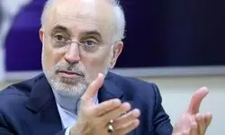 صالحی: «ایران» اکنون اولویت‌دارترین امر حکمرانی در جمهوری اسلامی است