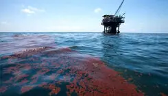 شاهدان خاموش جنگ/ مرثیه‌ای برای مرجان‌ها و حیات رو به زوال خلیج فارس در میدان نبرد