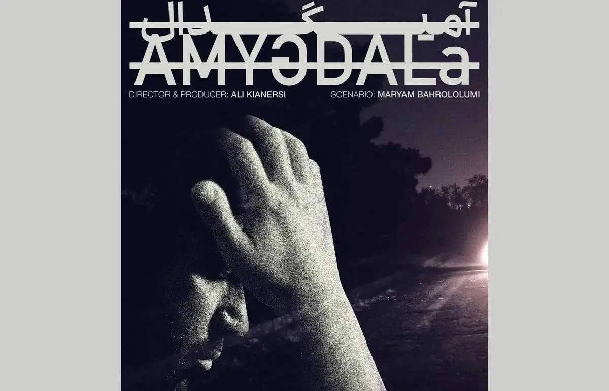  «آمیگدال» آماده نمایش شد