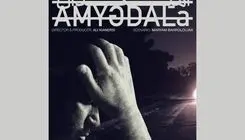  «آمیگدال» آماده نمایش شد