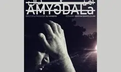 «آمیگدال» آماده نمایش شد