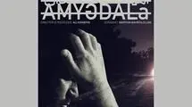  «آمیگدال» آماده نمایش شد