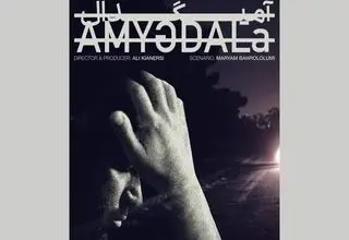  «آمیگدال» آماده نمایش شد