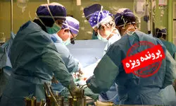 « ایران» امپراتور پیوند کبد در جهان 