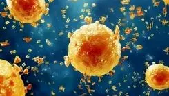 آنفولانزا در این دو استان در وضعیت هشدار قرار گرفت 