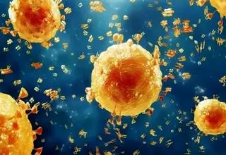 آنفولانزا در این دو استان در وضعیت هشدار قرار گرفت 