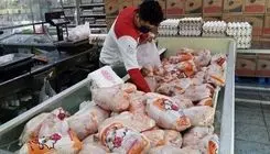 در حال حاضر بازار از توزیع مرغ اشباع شده است