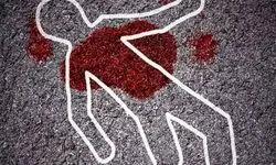 قتل در هواخواهی از برادر