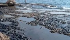 پایان پاکسازی آلودگی نفتی در آب‌های خارگ