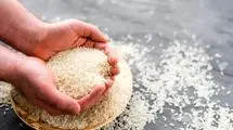 آمدن دریایی از برنج به ایران حتمی شد