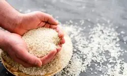 آمدن دریایی از برنج به ایران حتمی شد