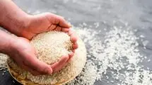آمدن دریایی از برنج به ایران حتمی شد