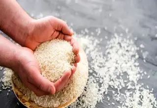 آمدن دریایی از برنج به ایران حتمی شد