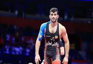 حسن یزدانی برد 