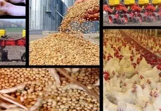 افزایش بی‌ضابطه قیمت نهاده‌ها به افزایش قیمت برای مصرف‌کننده می‌انجامد