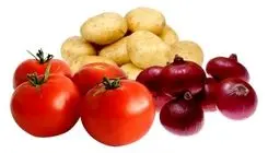  قیمت سیب زمینی مناسب و معقول و قیمت پیاز کمتر از حد معقول است