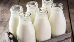 آلودگی شیر با سم آفلاتوکسین صحت دارد؟