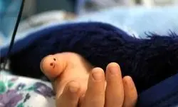پرونده‌های تکان‌دهنده 2 سال اخیر