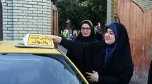 خدمات‌دهی تاکسی بانوان، سالمندان و مدارس؛ به‌زودی