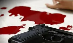 کشته شدن دو خلبان در حادثه تیراندازی در اندونزی