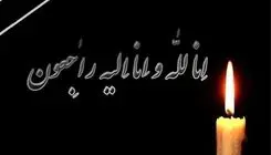 شهادت دو ورزشکار دیگر در جریان حملات دشمن