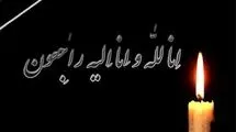 شهادت دو ورزشکار دیگر در جریان حملات دشمن