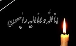 شهادت دو ورزشکار دیگر در جریان حملات دشمن